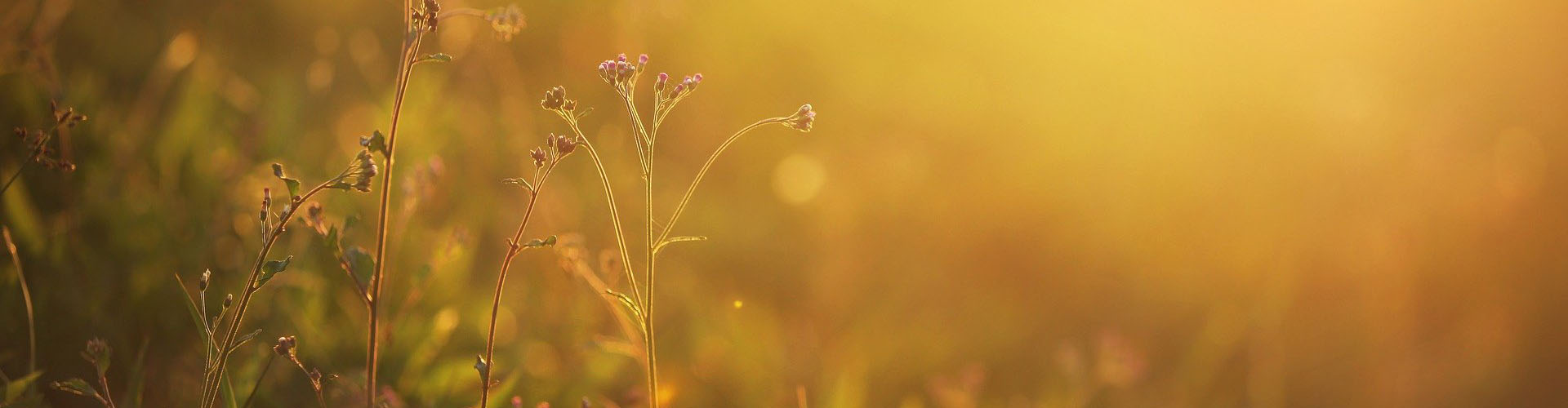 真空包裝解決方案